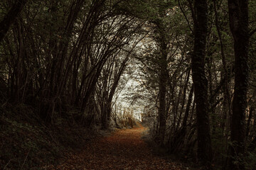 Obraz premium Paysages d'Anjou en automne