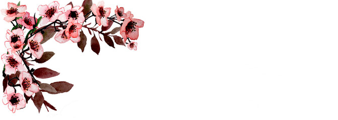 Banner fioritura di primavera isolata su sfondo bianco © sommaria