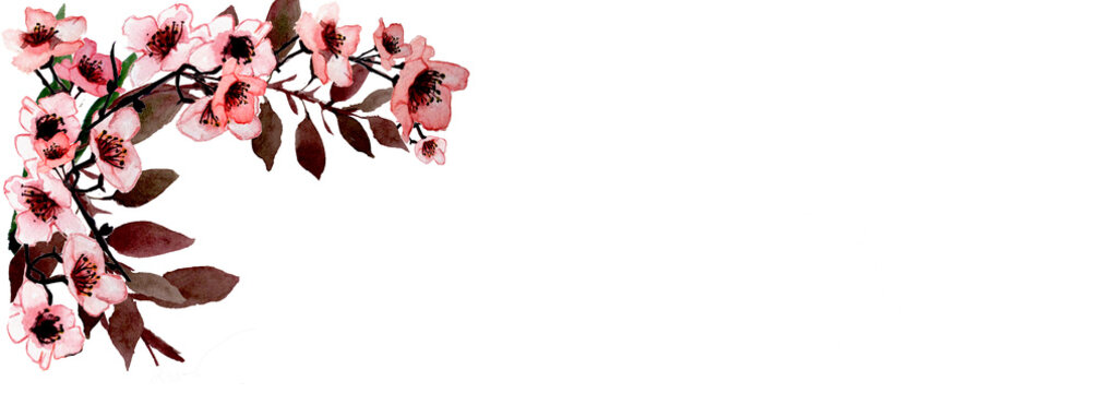 Banner fioritura di primavera isolata su sfondo bianco