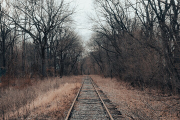 Fototapeta premium railway in the morning