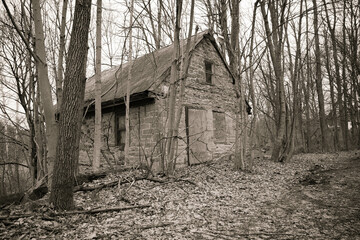 abandoned house in the woods