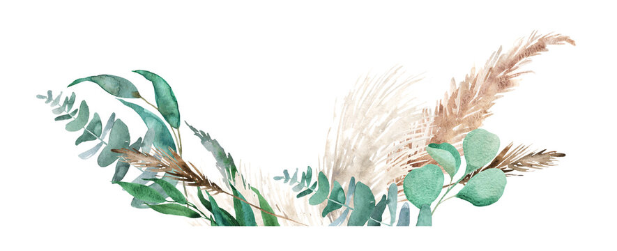 watercolor eucalyptus leaves and pampas grass clip art preview