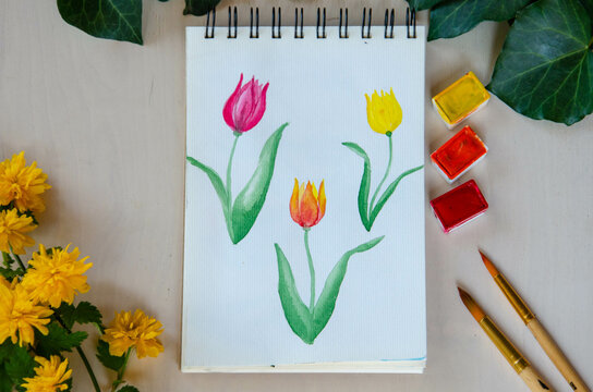 scketch of tulips 