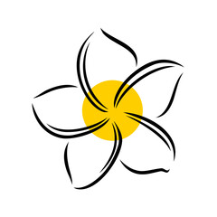Frangipani or plumeria exotic summer flower. Engraved frangipani isolated in white background. Outline vector illustration