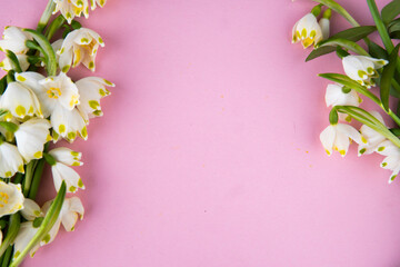 snowdrop flowers on a pink background