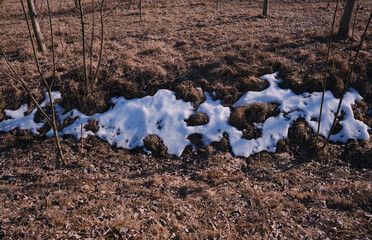 Spring landscape, snow melts on the ground.