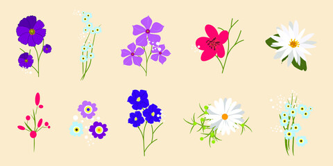 Spring flower set. Floral blooming collection. Summer flowers isolated