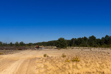 Fototapeta na wymiar Kozłow Desert called Pustynia Kozłowska in the Przemkowski Landscape Park in Poland in the Lubuskie Viovodeship on the previous soviet military training ground in Poland