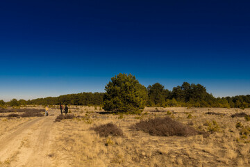 Kozłow Desert called Pustynia Kozłowska in the Przemkowski Landscape Park in Poland in the Lubuskie Viovodeship on the previous soviet military training ground in Poland