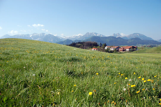 De Allgäu overgang van heuvels en meren naar de Alpen