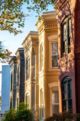 Obraz premium Washington D.C. Row Houses