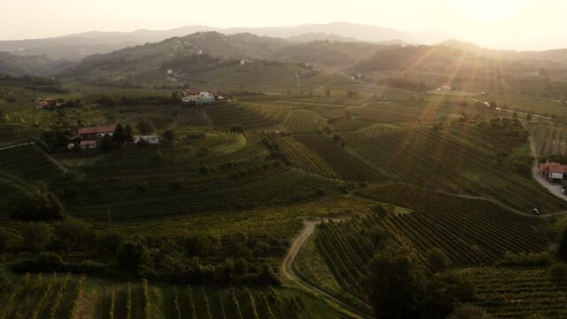 Aerial shot of vineyards and towns Tuscany like in golden light in Goriska Brda Slovenia