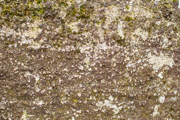 natural facade of wall as background