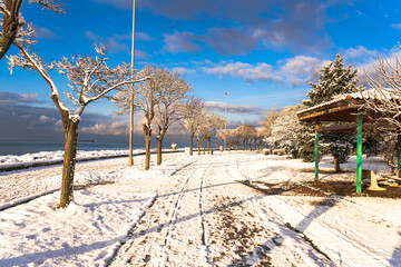 Beautiful panoramic view of winter landscape with many snow and frozen trees. Winter forest covered with snow. New Years landscape. Dramatic wintry scene.Amazing athmospheric Landscape. winter scenery