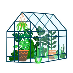 Illustration of cute cozy greenhouse for decorative flowers. Greenhouse with potted and hanging garden plants