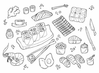 Sushi and rolls set in Doodle style. Japanese traditional cuisine dishes - nigiri, temaki, tamago, sashimi, uramaki, futomaki. vector drawing isolated on white background for asian restaurant menu.