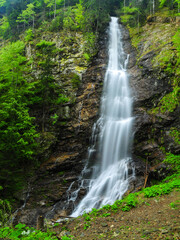 Fototapeta na wymiar Vertical panorama of Scorusu waterfall flowing out of a coniferous forest off a vertical cliff. Capatanii Mountains, Carpathians, Romania. 