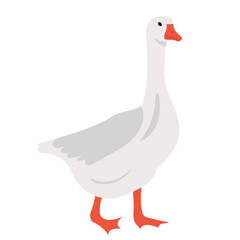 white goose flat design, isolated, vector