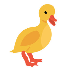 duckling flat design, isolated, vector