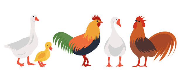 geese, roosters and hen flat design, isolated, vector