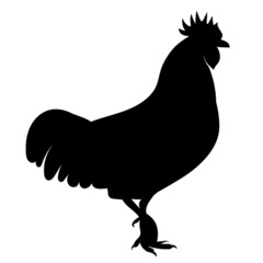 rooster black silhouette isolated vector