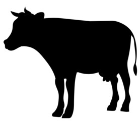 cow black silhouette isolated vector