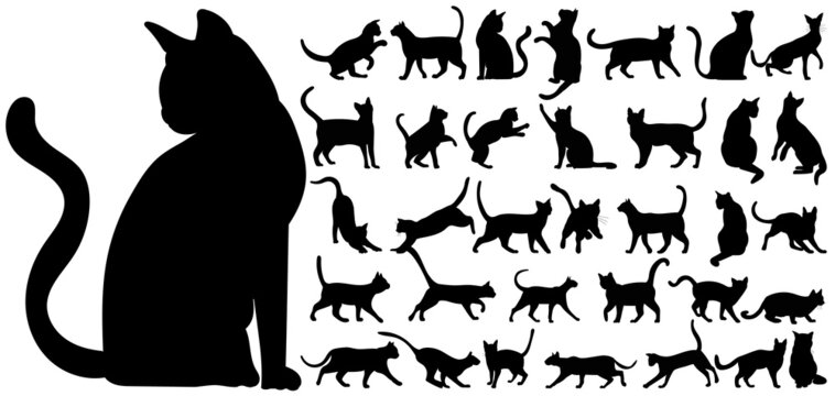 collection of cats silhouette isolated vector