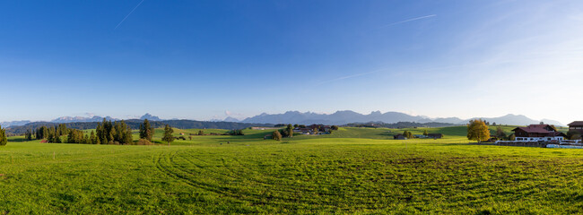 Idyllic farmland landscape in the Alps, fresh green agricultural land with mountain in background, Allgäu, Bavaria, Seeg, panorama