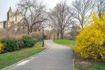 Central Park in spring