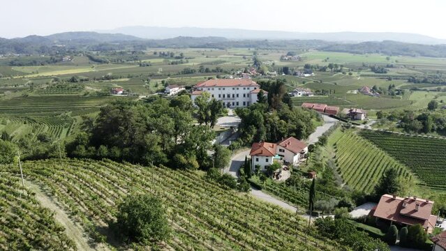 Castle in the middle of vineyards