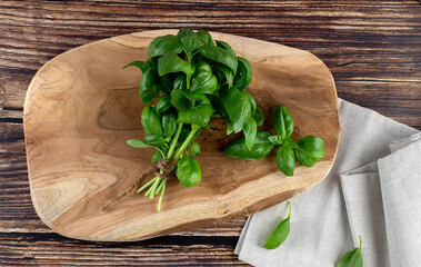Bunch of fresh organic basil on wooden cutting board on wooden background with napkin