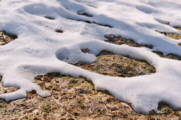Melting snow on the fields in early spring. Natural spring background.