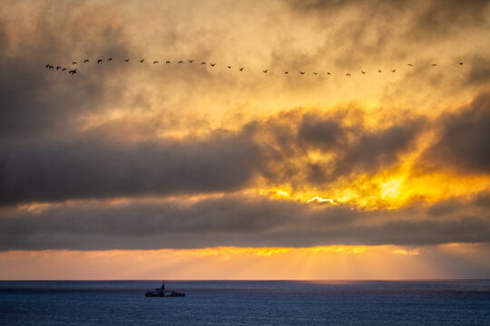 Zugvögel über dem Meer bei Sonnenaufgang Ostsee