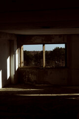 Fototapeta na wymiar an abandoned factory, windows without glass, shine the sun