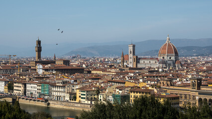 Fototapeta na wymiar Florence with birds