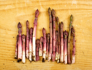 Esparragos de huerto recien cogidos sobre madera