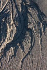 traces on sand