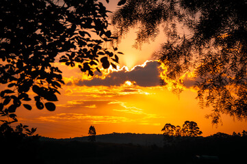 sunset in the forest