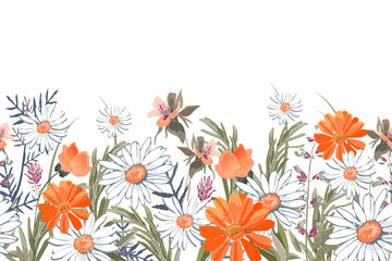 Vector floral seamless pattern, border. Horizontal panoramic design with white and orange meadow flowers on a white.