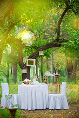 table with chairs and tea set in the forest, ambience, decoration