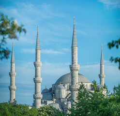 Fototapeta na wymiar View between the trees of the blue mosque in istanbul with four of its six minarets