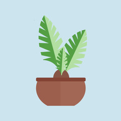 flower in the pot vector