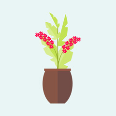 flower in the pot vector