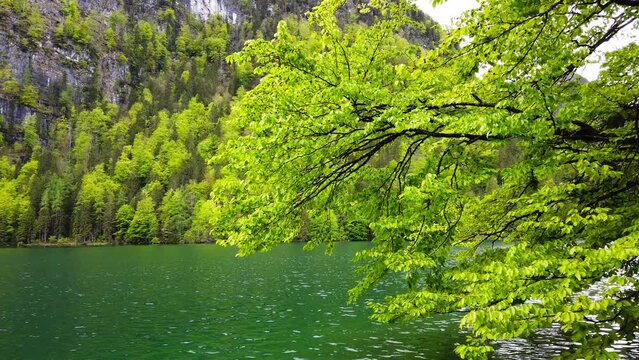Fr&uuml;hling im Wald und See. Ruhiges Wellen, kristallklares Smaragdgr&uuml;nes Wasser, Frische gr&uuml;nes Bl&auml;tter. Wandern, Entspannen und Meditieren in Bayern Alpen, Bavaria, Deutschland, Europe.