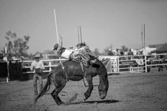 Bareback 이미지 찾아보기 3,883 스톡 사진, 벡터 및 비디오 Adobe Stock