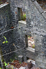 Inside Mitchell's Mill Ruins