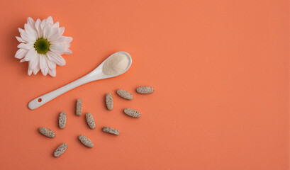 Hydrolyzed collagen powder. 