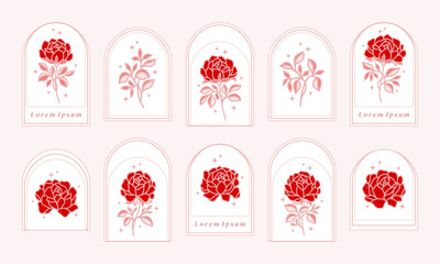 Set of hand drawn vintage retro botanical feminine rose flowers, leaf branches, and frame line art vector logo illustration elements