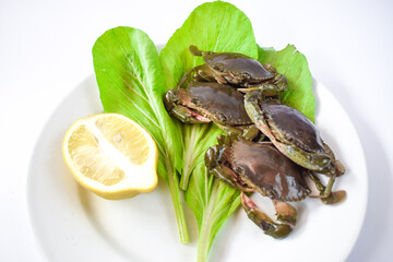 Green crab, oranges and vegetables on a white plate ready to be cooked