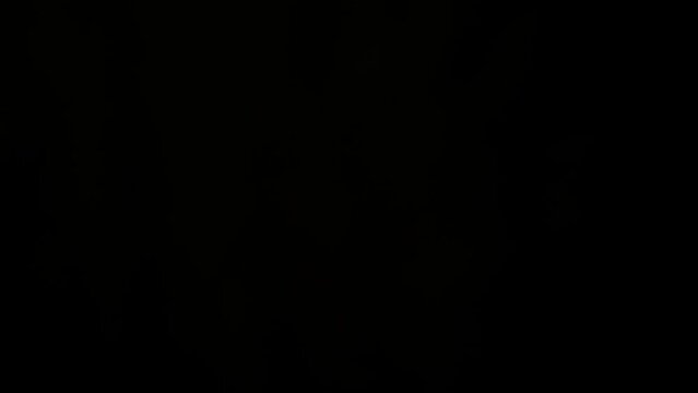 Bright lightning flashes in dark night sky. Powerful storm and and thunder. Flashing light at full darkness. Effects of illumination